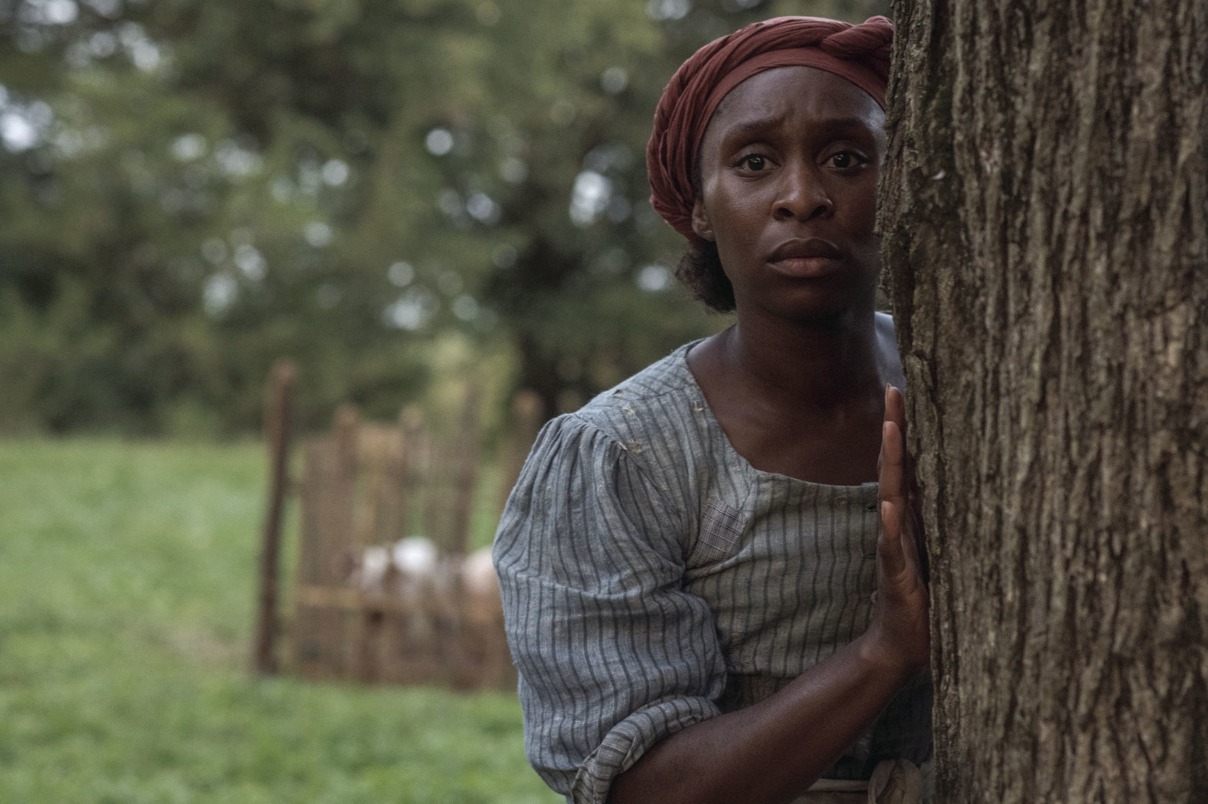 HARRIET